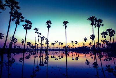 reflection