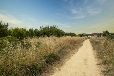 Road amidst field against sky