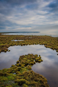 Scenic view of sea against sky