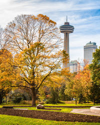 Trees in park with city in background