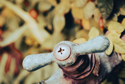 Close-up of rusty metal