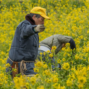 Midsection of man with yellow flowers in field