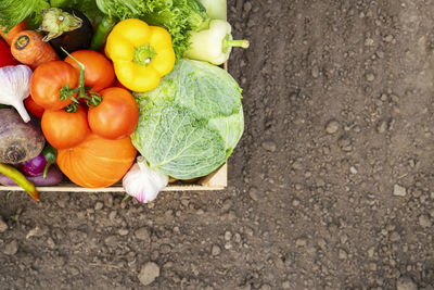 High angle view of tomatoes