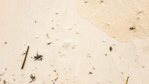 High angle view of footprints on sand