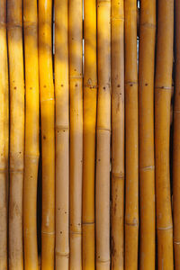 Full frame shot of bamboo
