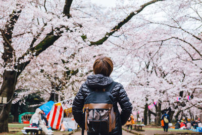 Rear view of woman with cherry blossom