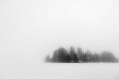 Trees on field against sky during winter