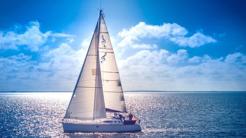 Sailboat sailing in sea