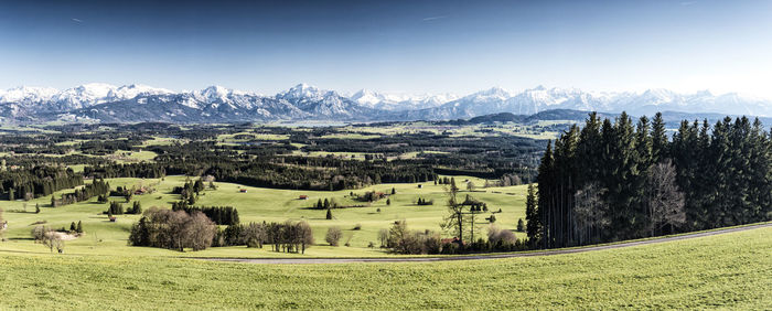 Scenic view of field against clear sky