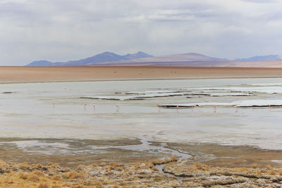Scenic view of desert against sky