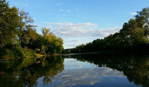 Reflection of trees in calm lake