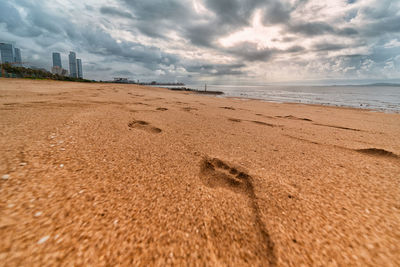 Scenic view of beach against sky