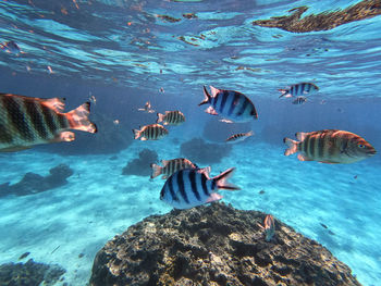 Crystal clear water in bora bora