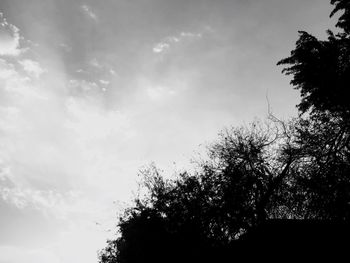 Low angle view of silhouette trees against sky