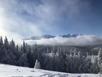 Scenic view of snowcapped mountains against sky