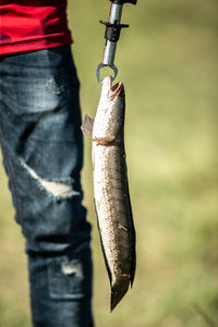 Midsection of man holding fish while standing on field