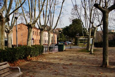 Footpath amidst trees and buildings against sky