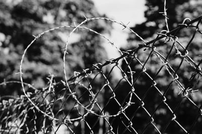 Low angle view of barb wire on chainlink fence