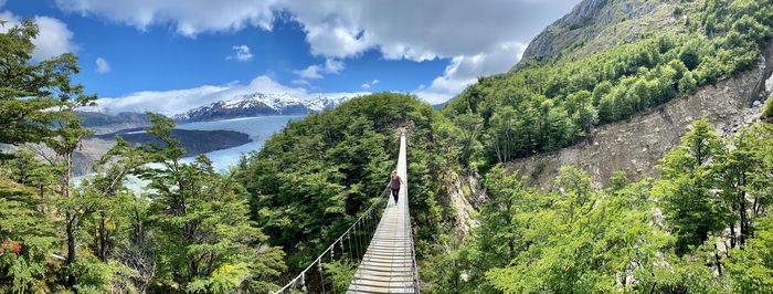 Panoramic view of trees and mountains against sky