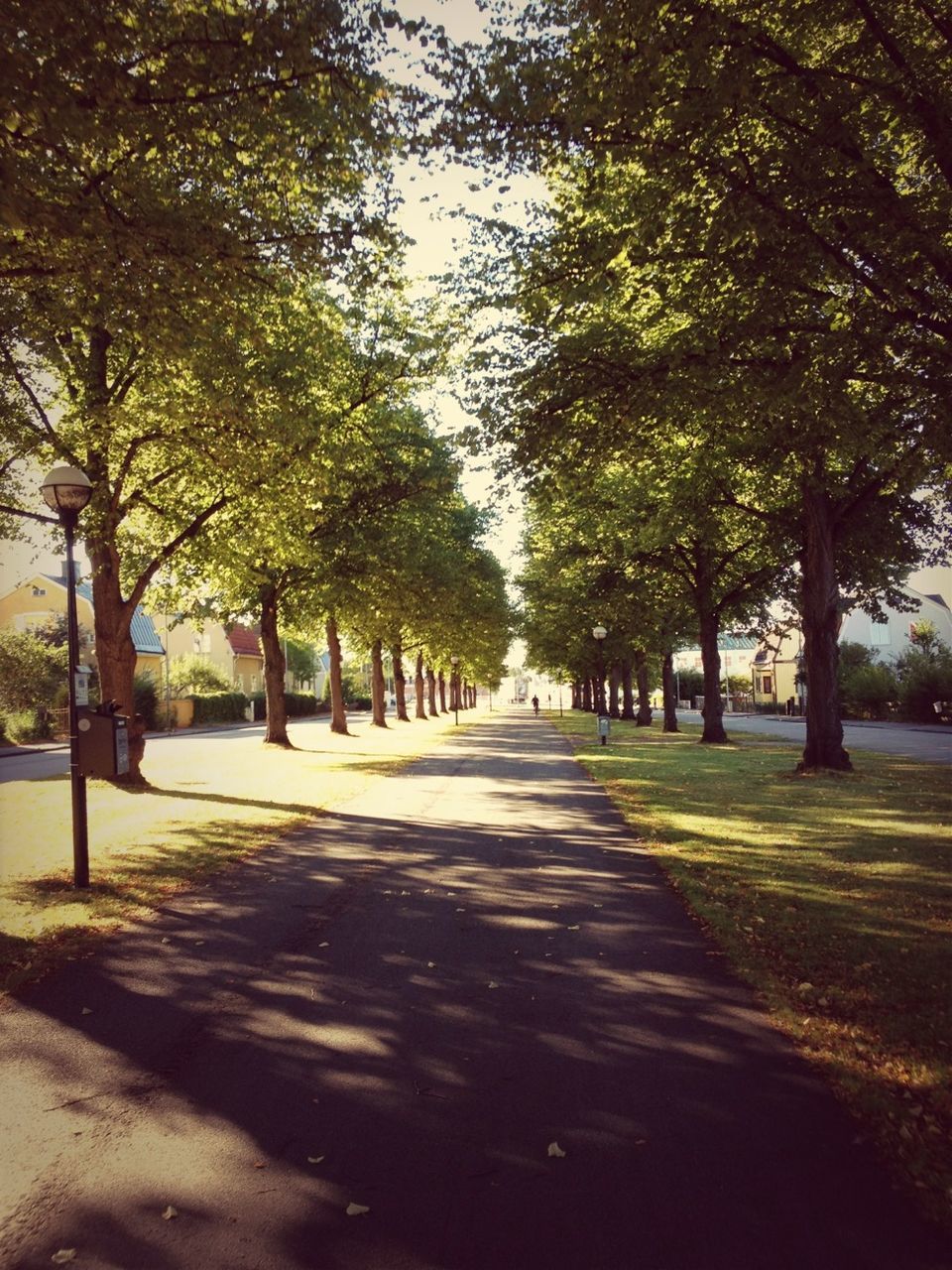 tree, the way forward, shadow, road, treelined, sunlight, footpath, tree trunk, empty, growth, park - man made space, street, transportation, tranquility, grass, diminishing perspective, incidental people, nature, park, day