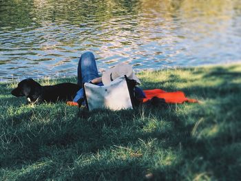 People relaxing on grassy field