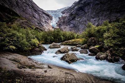 Stream flowing through rocks in forest