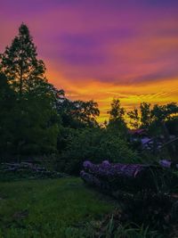 Scenic view of field against sky at sunset