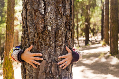 Woman hugging tree trunk in forest