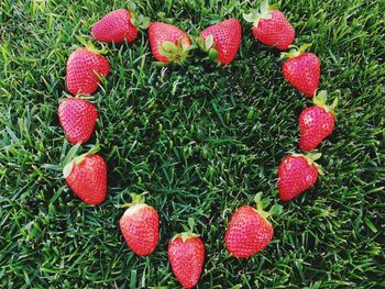 High angle view of strawberries