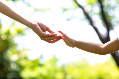 Midsection of woman hand on plant against tree