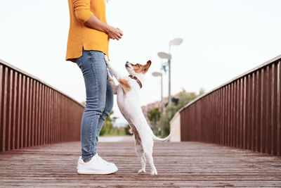 Low section of woman standing on footbridge with dog