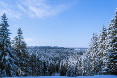 Snow covered landscape against blue sky