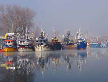Trawlers moored at harbor