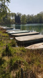 Scenic view of lake against trees