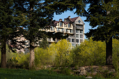 Trees and buildings in park