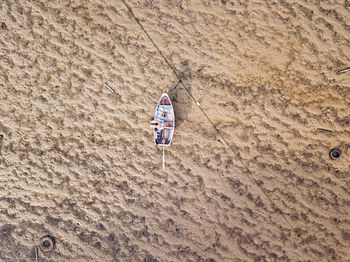 High angle view of person in desert