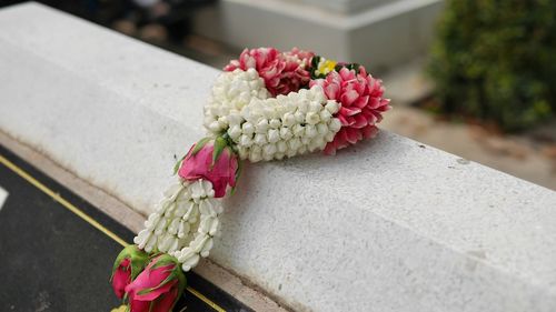 Close-up of flowers