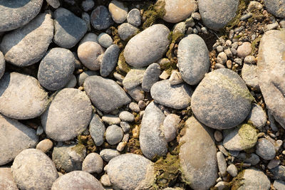 Top view photo of river gravel in the sun during the day.