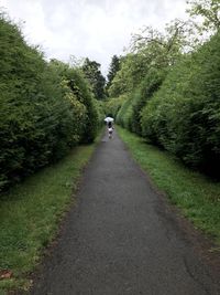 Rear view of person walking on road amidst trees against sky