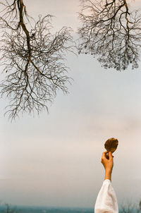 Man standing by bare tree against sky