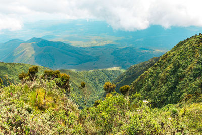 View of mountains at mount sabyinyo in the mgahinga gorilla national park, virungas region, uganda