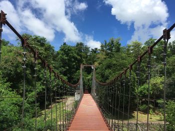 View of bridge with trees in background