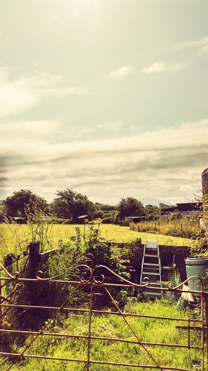 field, sky, landscape, grass, rural scene, agriculture, farm, cloud - sky, tranquil scene, fence, grassy, tranquility, nature, green color, growth, scenics, beauty in nature, built structure, cloud, cloudy