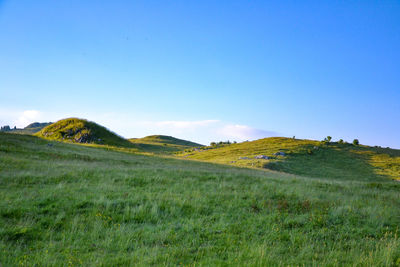 Scenic view of field against clear blue sky