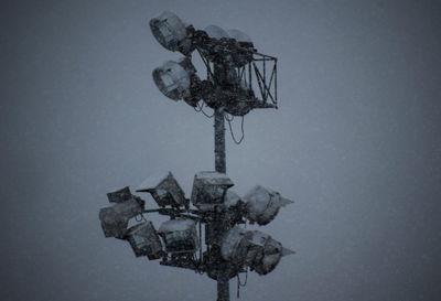 Low angle view of frozen tree against sky during winter