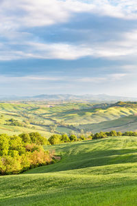 Rural rolling landscape view with fields and groves of trees in a valley