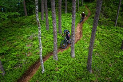 Aerial view of mountain biker in lush green forest, klagenfurt, austria.