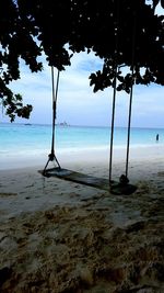 Silhouette tree on beach against sky