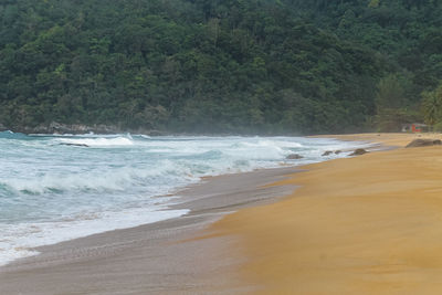 Scenic view of sea against trees