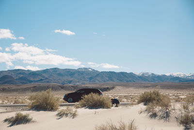 Car at death valley national park against mountains